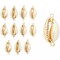 Charms for DIY Jewelry Making, Puka Cowrie Shells (0.7-0.8 In, 12 Pack)